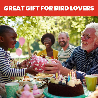 Classic Brands Vaso de vidrio con 5 Estaciones de alimentación, comedero de colibrí color rubí, capacidad de néctar de colibrí de 10 onzas