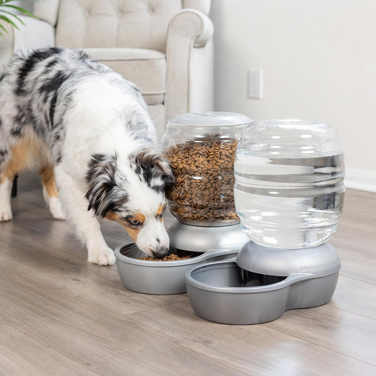 Petmate Regadera de Gravedad reabastecedora con Microban para Gatos y Perros, 2.5 galones, Azul, Fabricado en Estados Unidos