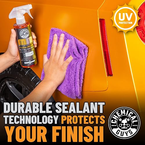 Chemical Guys Detallador Mate Meticuloso y Sellador en Spray para Acabados Satinados y Mates Nítidos, (Seguro para OEM, Vinilo y Superficies Pintadas Mate) 946 ml