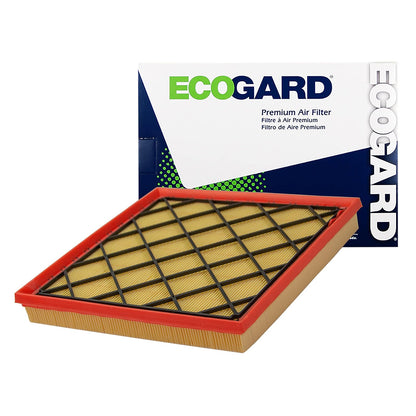 EcoGard Filtro de Aire de Motor XA6163 para Chevrolet Cruze 2010-2016 y Buick Verano 2013-2016