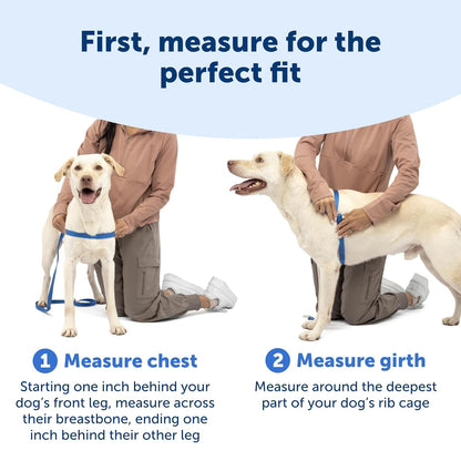 PetSafe Easy Walk arnés para Perros, Anti tirones, Beige/marrón, M