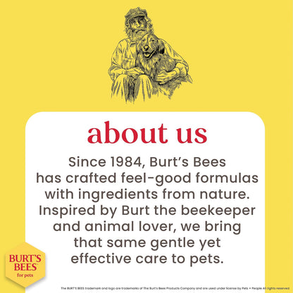 Burts Bees for Dogs - Spray desenredante natural con limón y linaza | Desenredador de piel de perro y cachorro, Natural Detangling Spray, 1 paquete