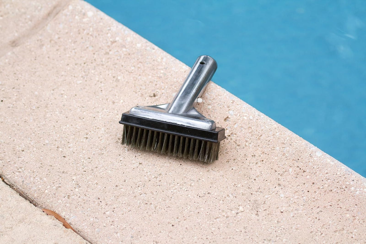 Poolmaster - Cepillo para Polvo para Algas con Parte Trasera de Aluminio y cerdas de Acero Inoxidable, Neutral, 12,7cm