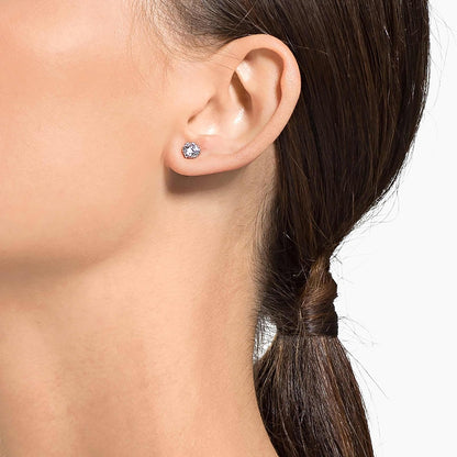 Swarovski Colección Attract