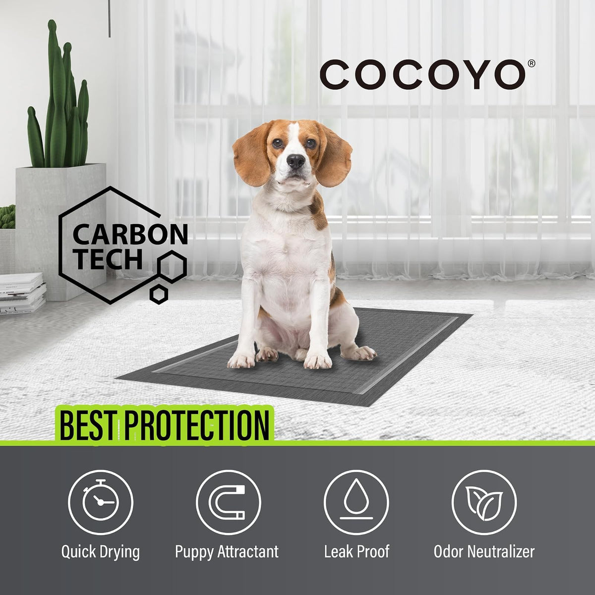 COCOYO Almohadillas de Entrenamiento para Cachorros, absorción de Carbono, Almohadillas de Entrenamiento para Perros Que eliminan el Olor de orina de Alta Calidad (100 Unidades, 22 x 22 Pulgadas)
