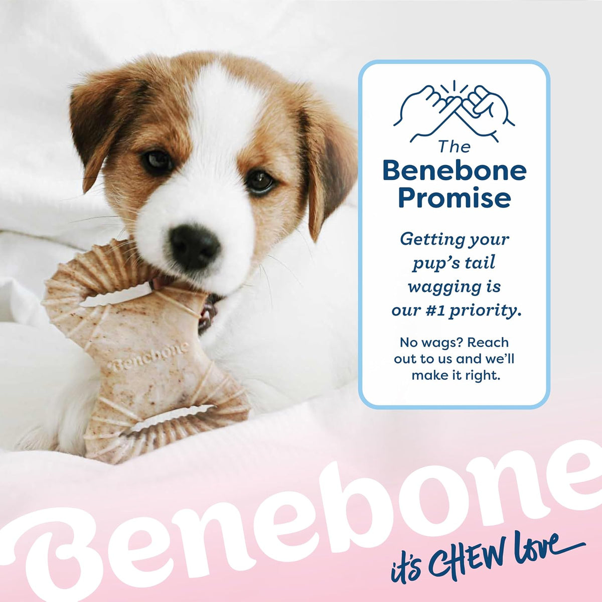 Benebone Puppy - Paquete de 2 masticables dentales para Pollo/espoleta