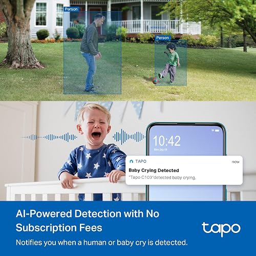 TP-Link Tapo C206 Cámara WiFi de Seguridad 360° Full HD Nocturna a Color