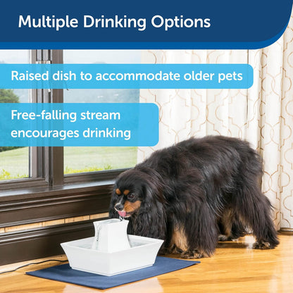 PetSafe Drinkwell Pagoda Pet Fountain - from in Knoxville, TN - Dog Water Bowl Dispenser - Multiple Angles to Drink from - Filters Included - Dog Fountain Provides Water When Power’s out - White