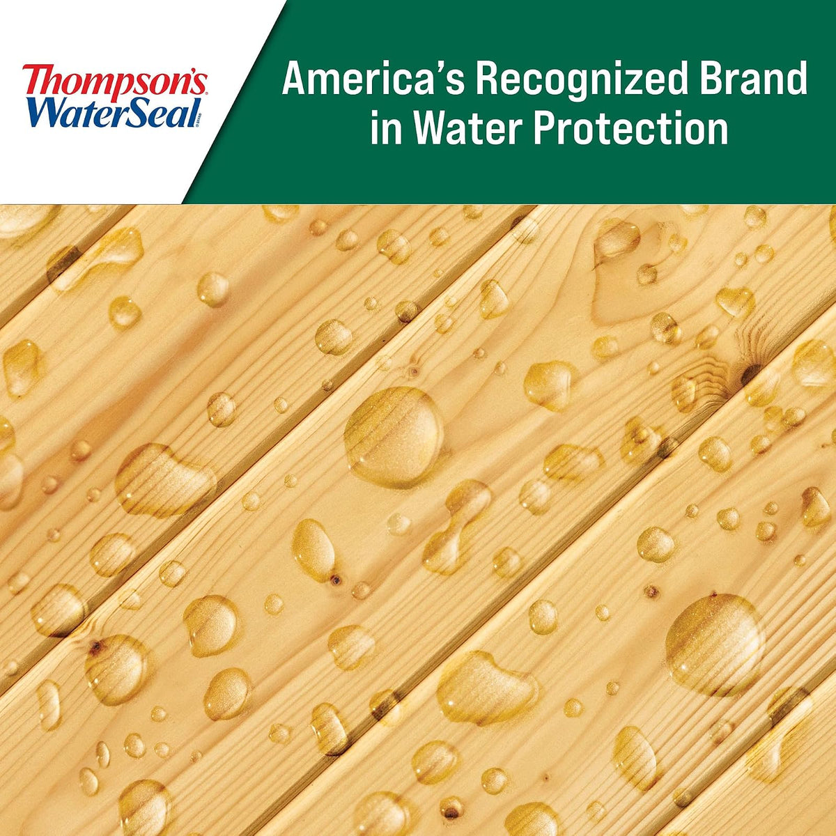Thompson's WaterSeal Protector para madera Transparente, 3.78l