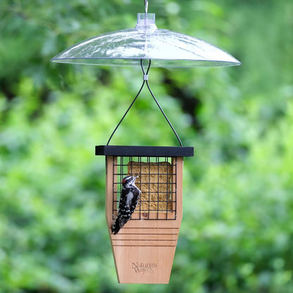 Squirrel Shield - Deflector de ardilla de plástico de 16 pulgadas para comedero de semillas de aves silvestres al aire última intervensión, a prueba de ardillas, protege comederos colgantes y