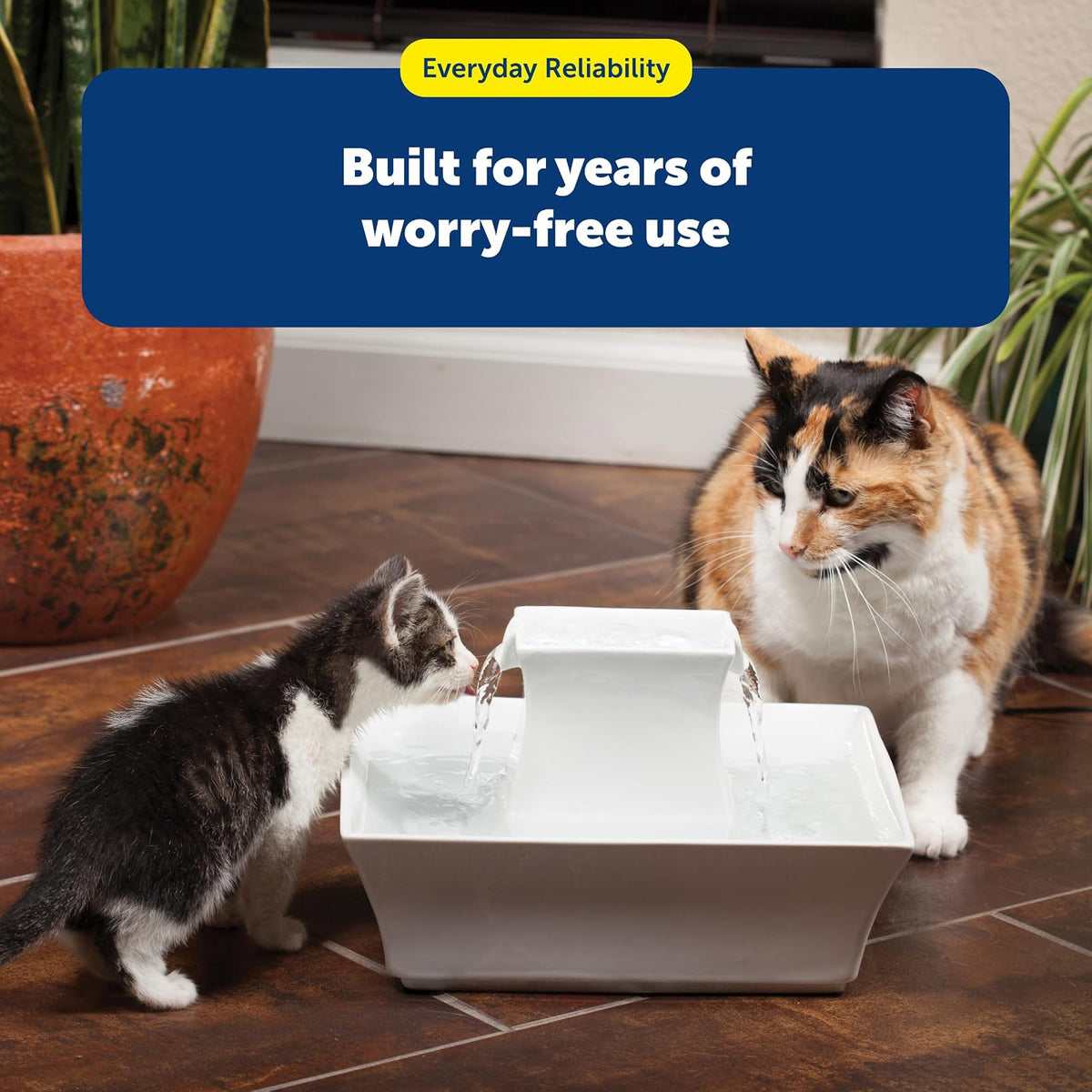 PetSafe Drinkwell Dog and Cat Water Fountain Cleaning Kit - Includes 3 Brushes to Fit Most Pet Fountains - Durable, Rust-Resistant Material