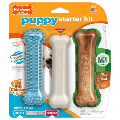 Nylabone Puppy Chew Variety Toy & Treat Triple Pack, Chicken|Lamb|Apple, 3Count, Regular, Light Blue
