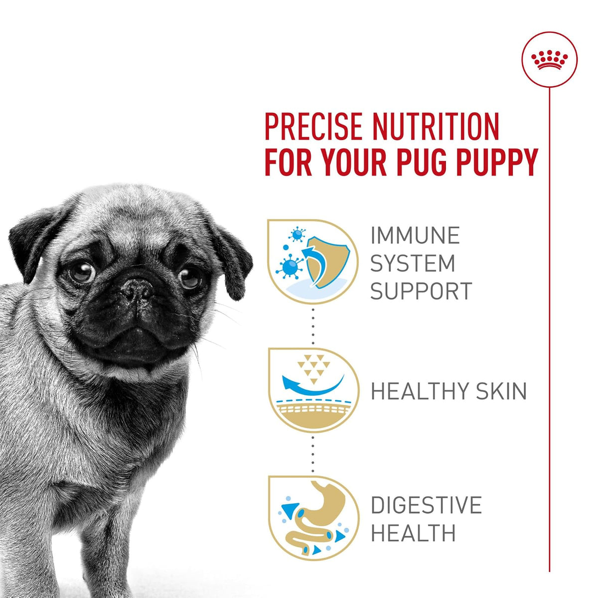 ROYAL CANIN, Puppy - Pug, Croquetas para Perro, 1.1kg