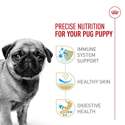 ROYAL CANIN, Puppy - Pug, Croquetas para Perro, 1.1kg