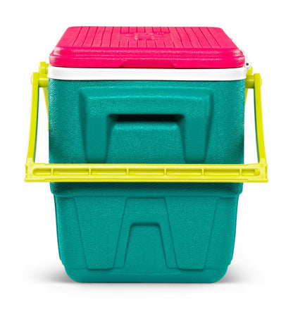 Igloo Special Edition - Cesta de Picnic de tamaño Completo de 25 Cuartos con Aislamiento Lateral Duro con Asas Laterales moldeadas