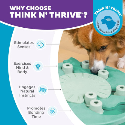 Nina Ottosson by Outward Hound Dog Worker Dog Puzzle Interactive Treat Puzzle Dog Enrichment Dog Toy, Level 3 Advanced, Green