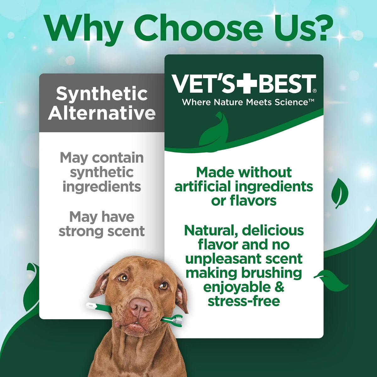 Vet's Best, Pasta dental apra mascota, 3.5 OZ/103 ml