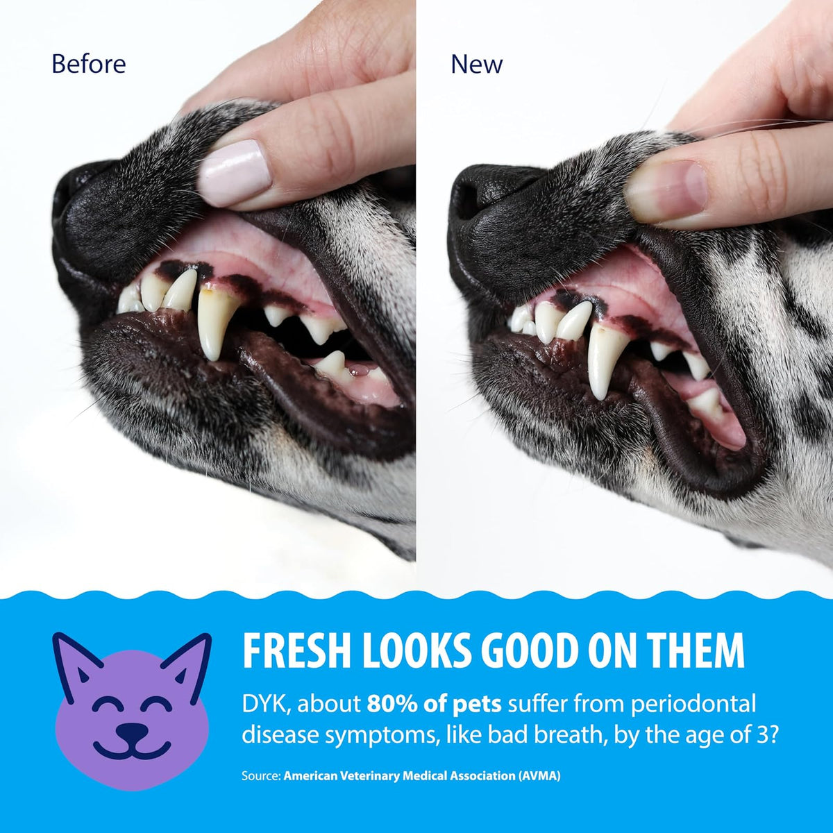 Dental Fresh Advanced Plaque and Tartar Water Additive, 32oz – Dog Teeth Cleaning Formula to Freshen Breath and Improve Overall Oral Health
