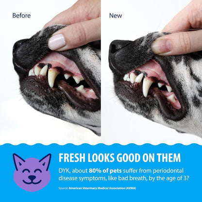 Dental Fresh Advanced Plaque and Tartar Water Additive, 32oz – Dog Teeth Cleaning Formula to Freshen Breath and Improve Overall Oral Health