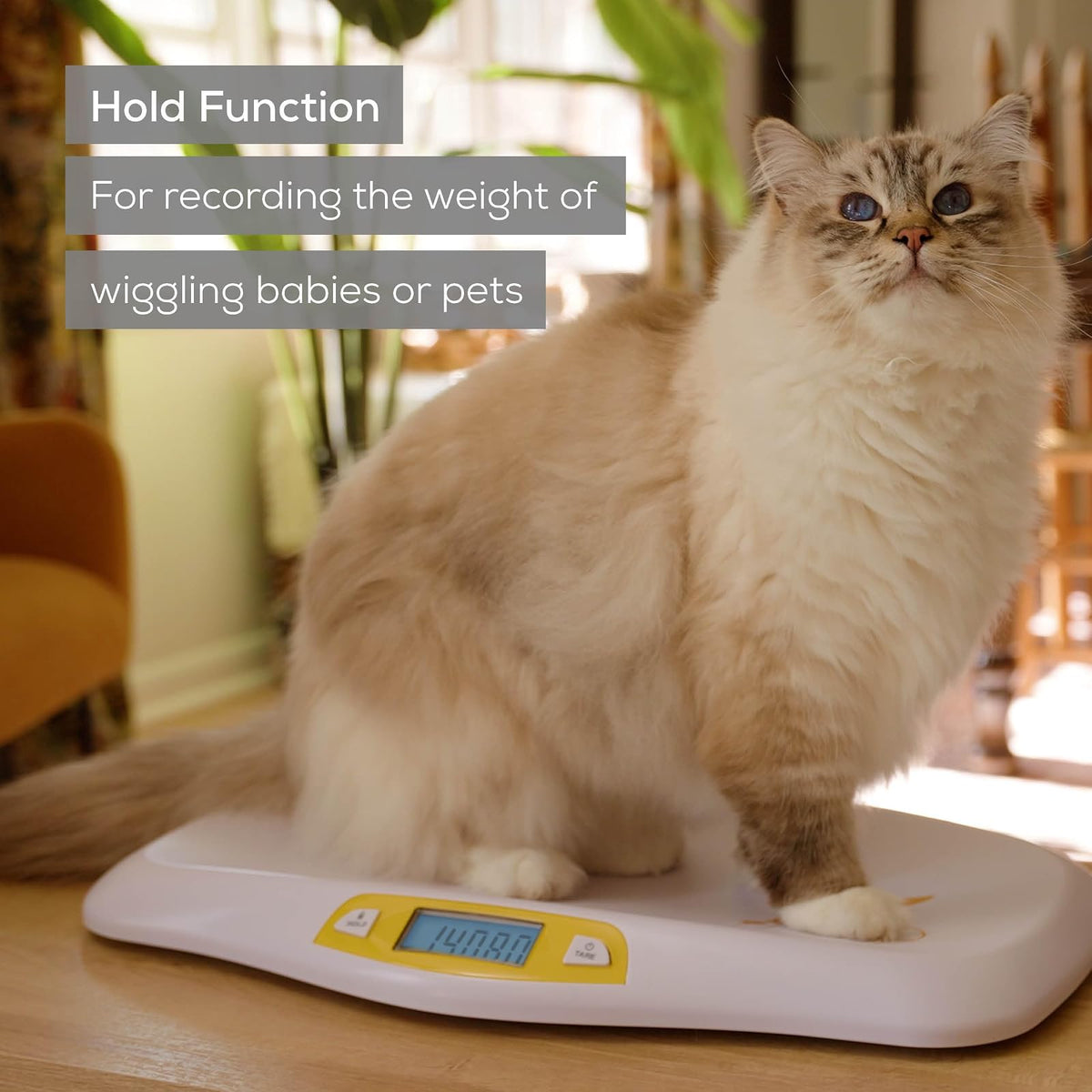 Beurer BY80 Báscula digital para bebé, báscula para bebés para pesar en libras, onzas o kilogramos de hasta 44 libras, báscula para bebés recién nacidos con función de sujeción, báscula para mascotas