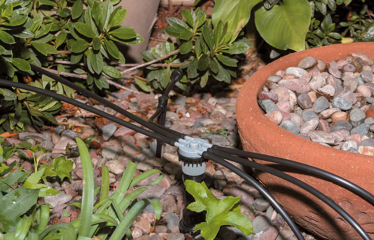 Rain Bird Outoor - Productos, Negros, Spot Watering Manifold on a Spike Kit, Bubblers and Emitters