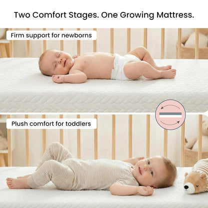 Dream On Me Baby ZZZ 5” Foam Crib & Toddler Bed Mattress