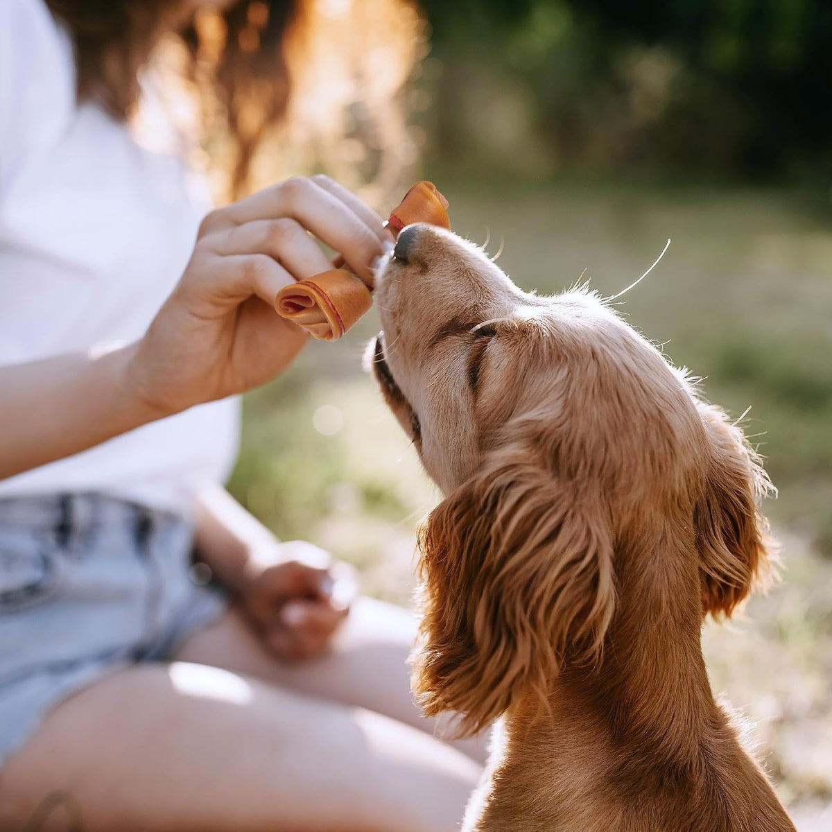 SmartBones Premios Perro, huesitos Mantequilla maní sin carnaza, Pack-3 pzs