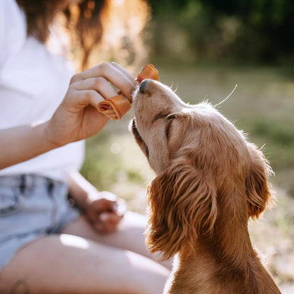 SmartBones Premios Perro, huesitos Mantequilla maní sin carnaza, Pack-3 pzs