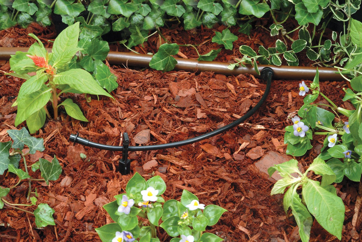 Rain Bird LNDDRIPKIT - Kit de riego por Goteo para Paisaje/jardín con goteros, microburbujas, microburbujas