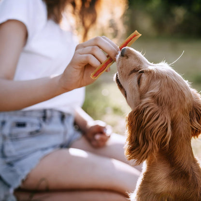 SmartBones Premios para Perro palitos Pollo y Vegetales sin aditivos 12 pzs