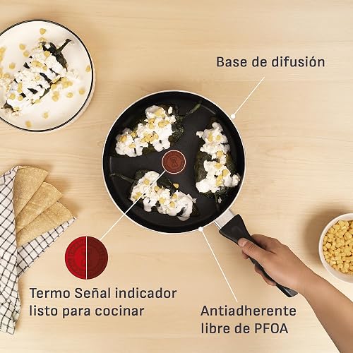T-fal Cacerola con Tapa 24 cm Everyday, con Antiadherente resistente Titanium, Limpieza Fácil, Libre de PFOA, con Termo Señal para una cocción optima, B4693284EVE