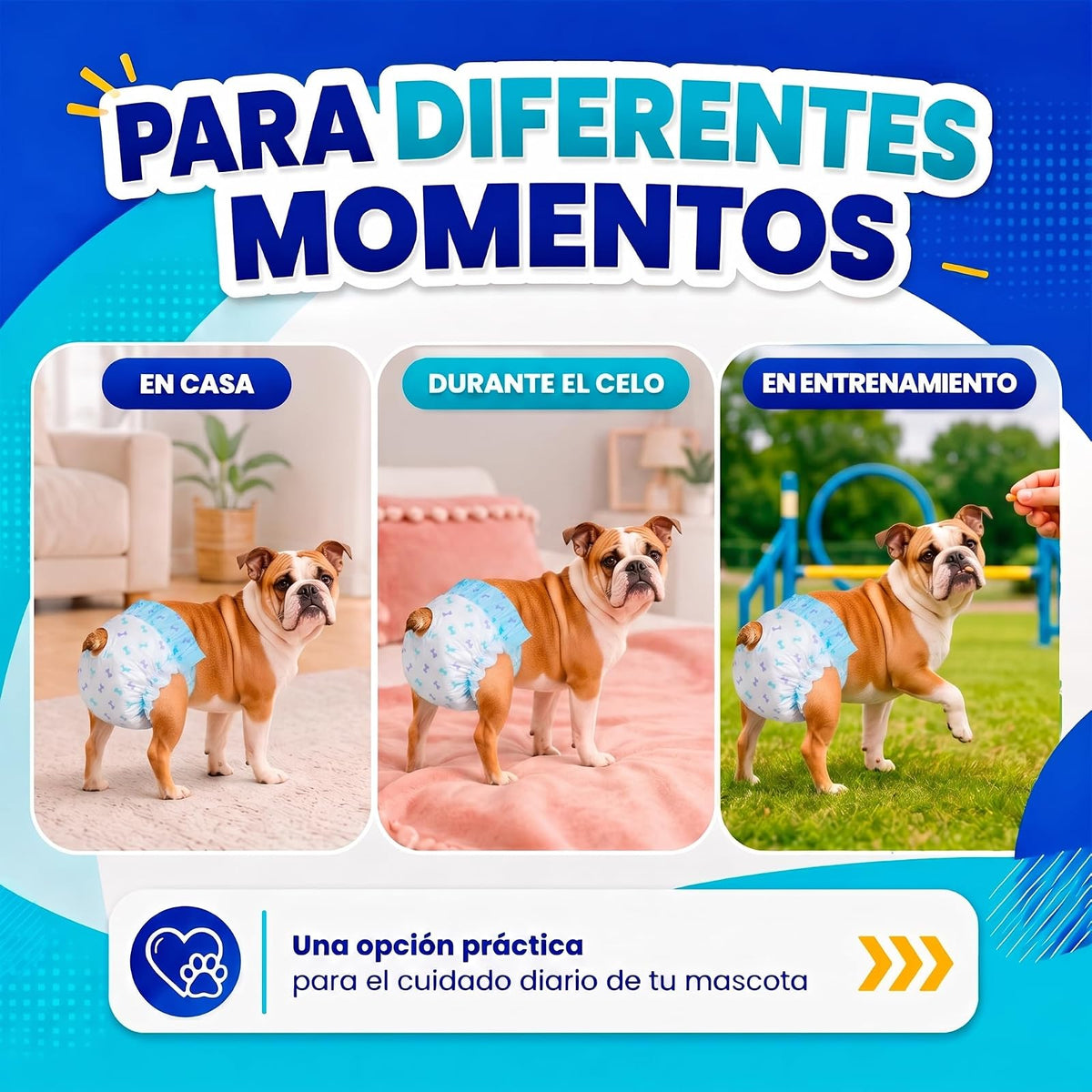 Fancy Pets Pañales Desechables para Perro Med, Súper Absorbentes, 12 Piezas, para Incontinencia, Entrenamiento y Celo, Cómodos y Ajustables