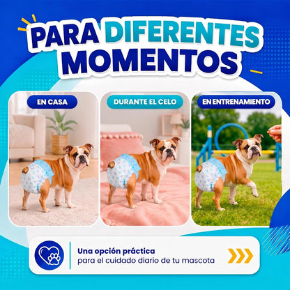 Fancy Pets Pañales Desechables para Perro Med, Súper Absorbentes, 12 Piezas, para Incontinencia, Entrenamiento y Celo, Cómodos y Ajustables