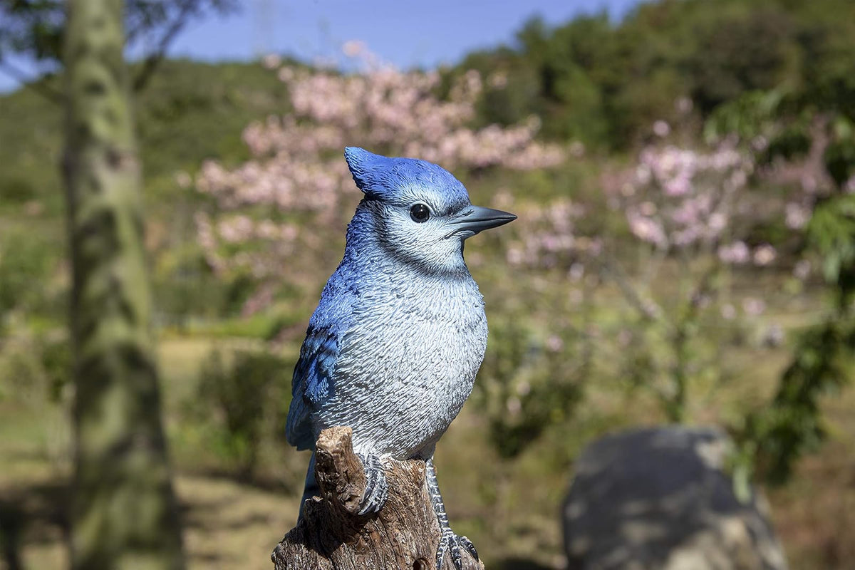 Hi-Line Gift Motion Activated Singing Blue Jay de pie en tocón