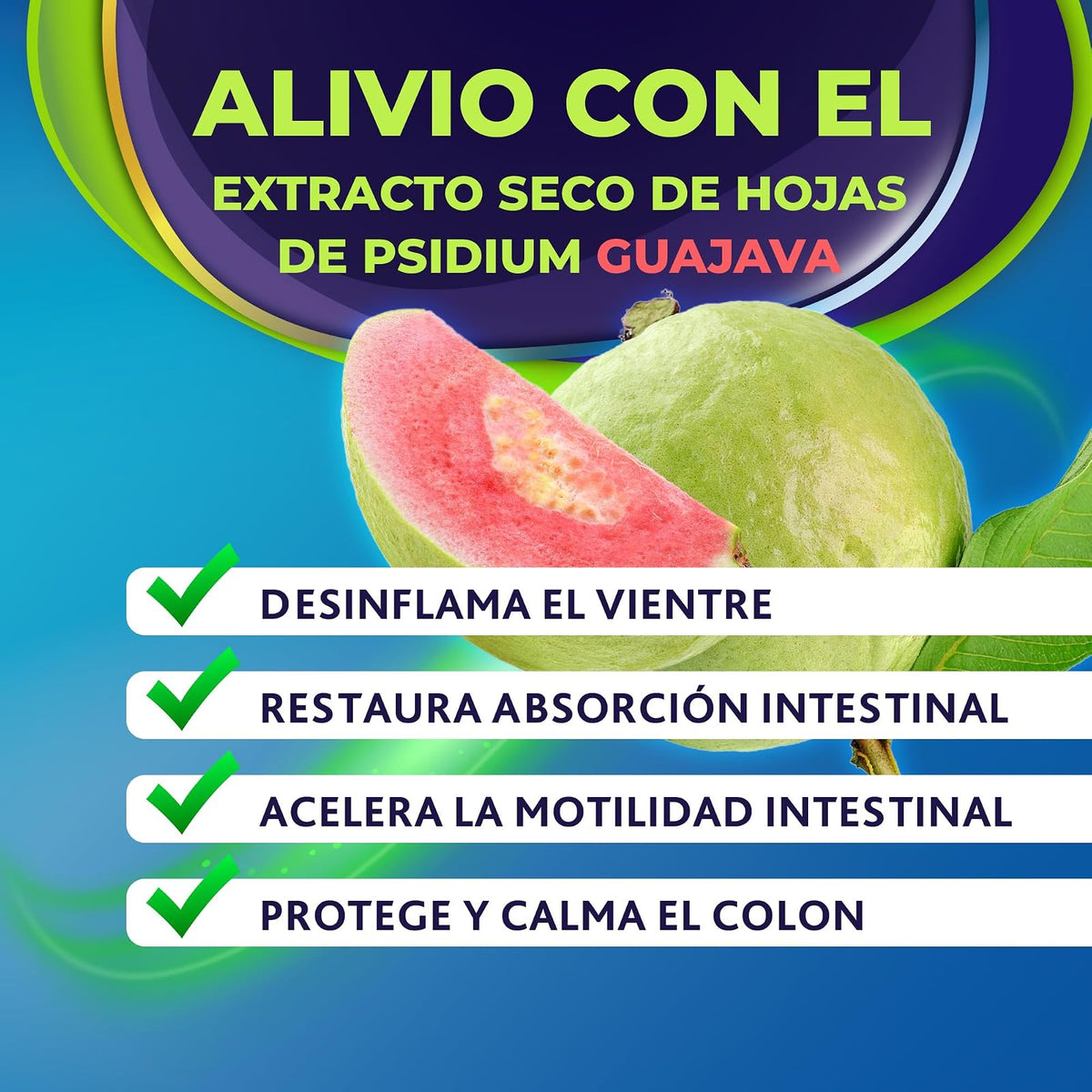 QG5 - Alivio para la Colitis. Ingredientes de origen 100% natural que alivian inflamación, dolor, diarrea, gases y espamos. Caja con 30 tabletas