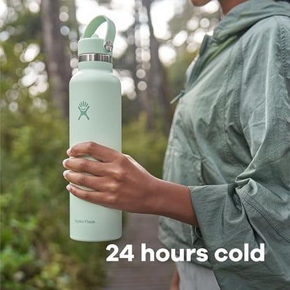Hydro Flask - Botella de agua de acero inoxidable aislada, tapa estándar con popote, no derrama, a prueba de fugas en 24 onzas, color gris abedul