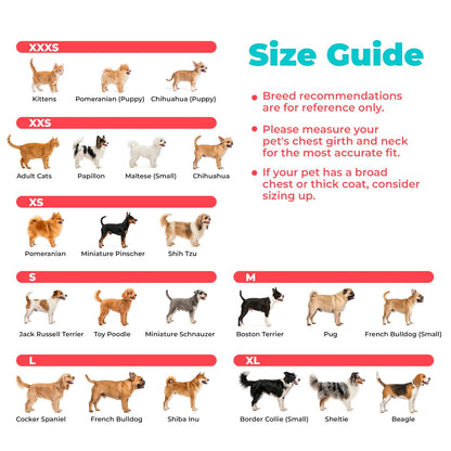 Best Pet Supplies - Arnés de Malla para Perros pequeños y medianos Voyager Step-in Air para Todo Tipo de Clima, Color Naranja (Ribete a Juego), Talla XXXS