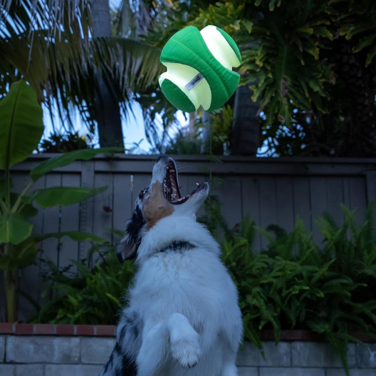 Chuckit Kick Fetch Pelota de Juguete para Perros, MAX Glow, Large