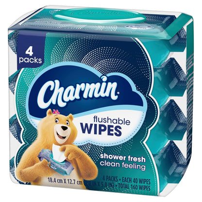Charmin Flushable Wipes, 4 packs of 40 Flushable Wipes, 160 Total Wipes (Packaging May Vary)
