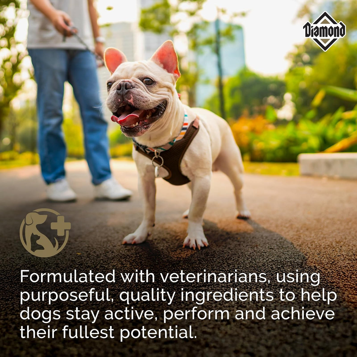 Diamond Premium Maintenance Alimento para Perro Adulto | Fórmula para perros adultos moderadamente activos, nutrición completa y , omegas 3 y 6 para piel y pelaje