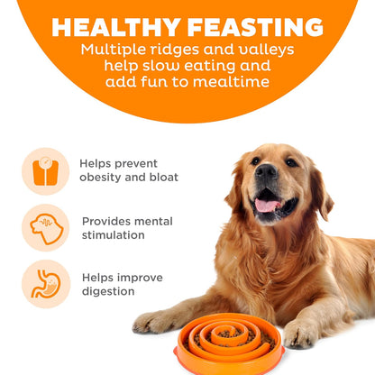 Outward Hound Divertido comedero para Perros con alimentación Lenta para Detener la Sangre para Perros, Anaranjado, Large