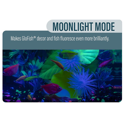 GloFish Aquarium Kit 5 gallon, Includes Hinged Cycle Light & Hidden filtration