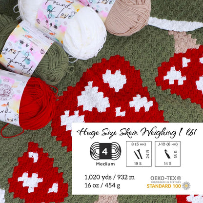Lion Brand Yarn Pound of Love, hilo de gran valor para tejer, ganchillo y manualidades, popote, 1 paquete