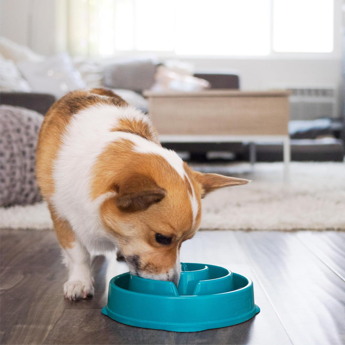 Outward Hound Fun Feeder Slo Bowl, Slow Feeder Dog Bowl, Medium, Turquoise
