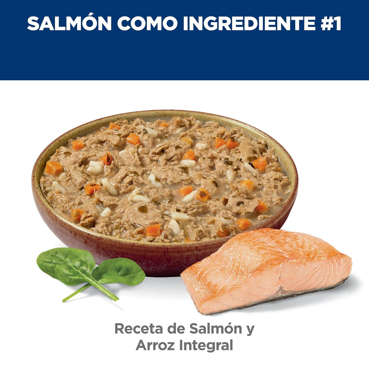 Hill's Alimento Húmedo para Gatito Sabor Salmón 24 Pack 59G | Alimento húmedo Hill's para gato, salmón real, piel y estómago sensible, alta digestibilidad, barrera cutánea sana