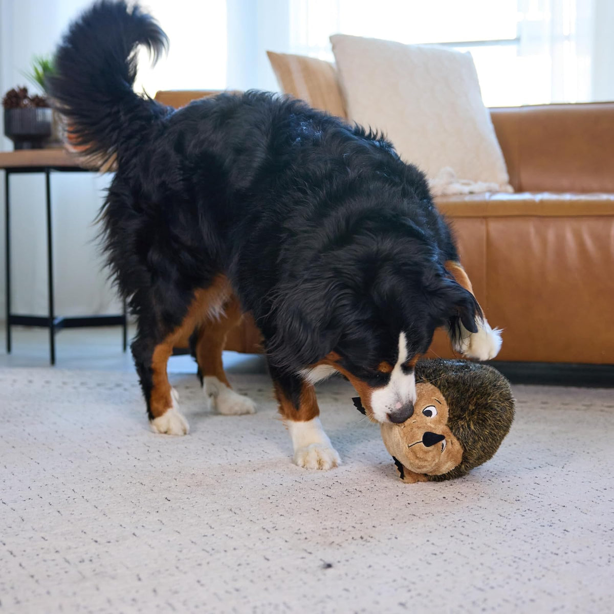 Hedgehogz, Squeak and Grunt Plush Dog Toy