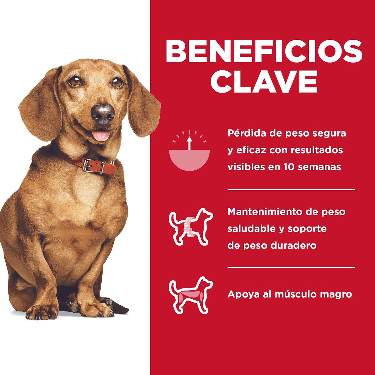 Hill's Science Diet Small Mini Perfect Weight Perro Adulto Pollo 5.7Kg | Croquetas Hill's para perro, pollo real, razas pequeñas, control de peso, músculos magros, fibras naturales de saciedad