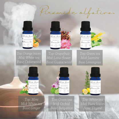 Punto Aroma - Aromaterapia - Set de 6 fragancias para difusor humidificador - Incluye 6 frascos de 10ml - Fragancia Premium (Tea Lovers)