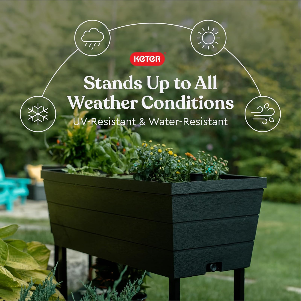 Keter Urban Bloomer - Maceta de jardín elevada de 12.7 galones y Maceta de jardín con medidor de riego automático y tapón de Drenaje, Gris Oscuro