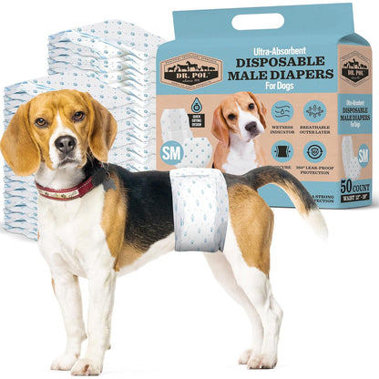 Dr. Pol Pañales Desechables para Perro Macho, Superabsorbentes - SM Waist Size 12 - 19 in